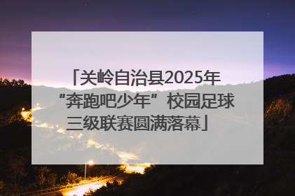 关岭自治县2025年“奔跑吧少年”校园足球三级联赛圆满落幕