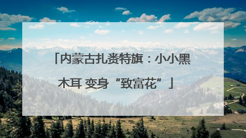 内蒙古扎赉特旗：小小黑木耳 变身“致富花”