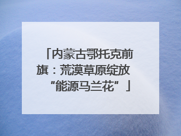 内蒙古鄂托克前旗：荒漠草原绽放“能源马兰花”