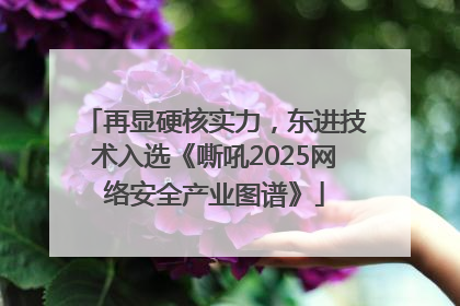 再显硬核实力，东进技术入选《嘶吼2025网络安全产业图谱》