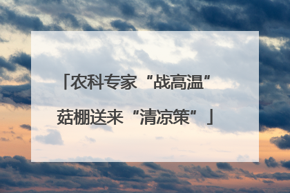 农科专家“战高温” 菇棚送来“清凉策”
