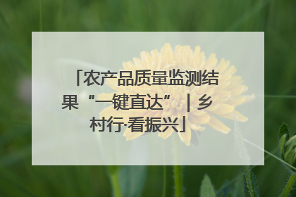 农产品质量监测结果“一键直达”｜乡村行·看振兴