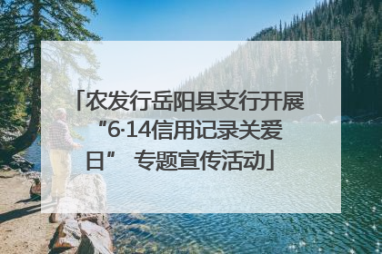 农发行岳阳县支行开展“6·14信用记录关爱日” 专题宣传活动