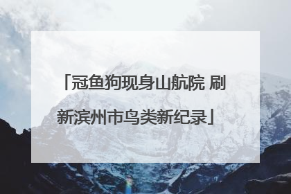 冠鱼狗现身山航院 刷新滨州市鸟类新纪录