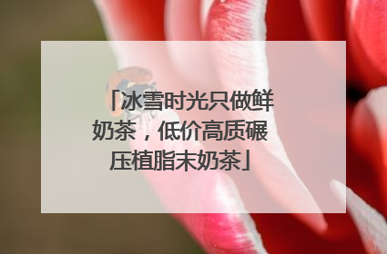 冰雪时光只做鲜奶茶，低价高质碾压植脂末奶茶