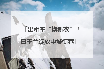 出租车“换新衣”！白玉兰绽放申城街巷