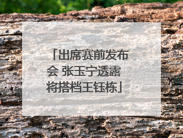 出席赛前发布会 张玉宁透露将搭档王钰栋