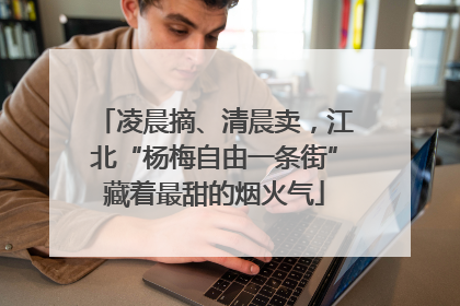 凌晨摘、清晨卖，江北“杨梅自由一条街”藏着最甜的烟火气