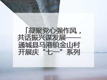 凝聚党心强作风，共话振兴谋发展——通城县马港镇金山村开展庆“七一”系列庆祝活动