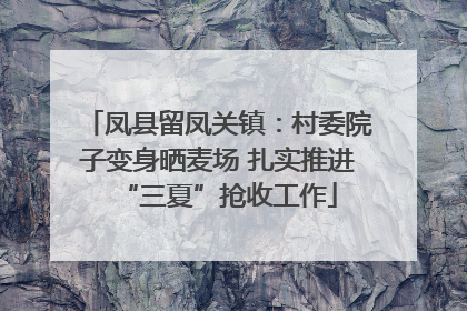 凤县留凤关镇：村委院子变身晒麦场 扎实推进“三夏”抢收工作