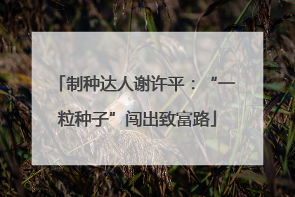 制种达人谢许平：“一粒种子”闯出致富路