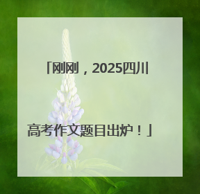 刚刚，2025四川高考作文题目出炉！
