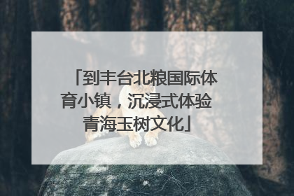 到丰台北粮国际体育小镇，沉浸式体验青海玉树文化