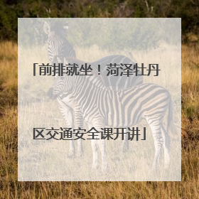 前排就坐！菏泽牡丹区交通安全课开讲