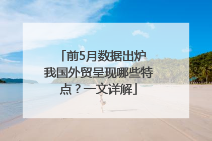 前5月数据出炉 我国外贸呈现哪些特点？一文详解