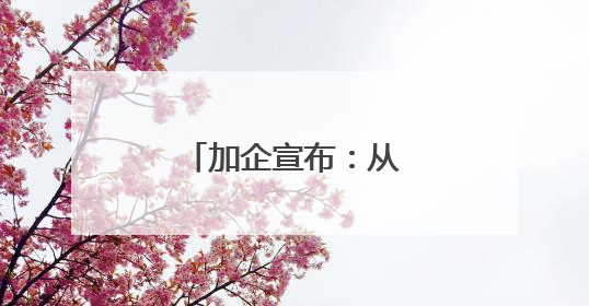 加企宣布：从中国采购4艘