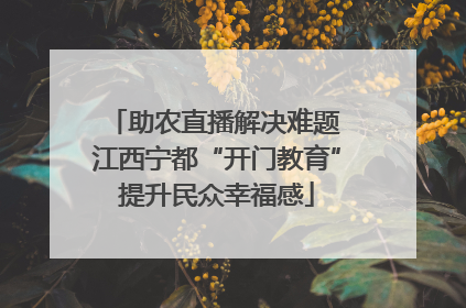 助农直播解决难题 江西宁都“开门教育”提升民众幸福感