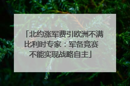 北约涨军费引欧洲不满 比利时专家：军备竞赛不能实现战略自主