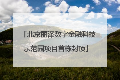 北京丽泽数字金融科技示范园项目首栋封顶