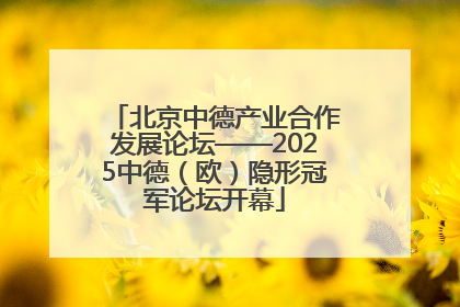 北京中德产业合作发展论坛——2025中德（欧）隐形冠军论坛开幕