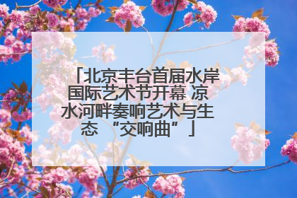 北京丰台首届水岸国际艺术节开幕 凉水河畔奏响艺术与生态 “交响曲”