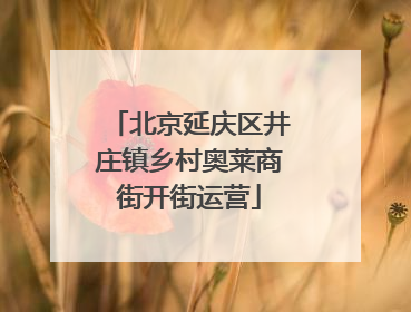 北京延庆区井庄镇乡村奥莱商街开街运营