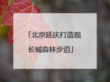 北京延庆打造观长城森林步道
