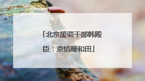 北京援疆干部韩殿臣：京情暖和田