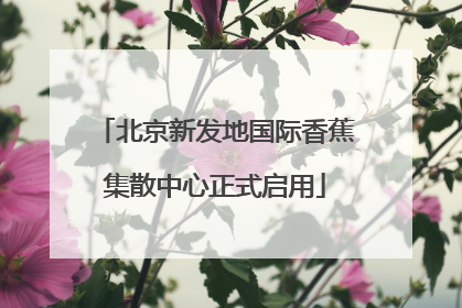北京新发地国际香蕉集散中心正式启用
