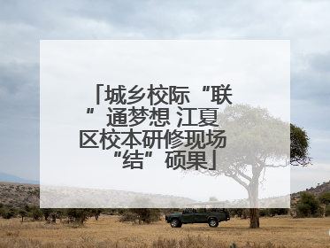 城乡校际“联”通梦想 江夏区校本研修现场“结”硕果