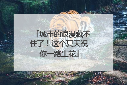 城市的浪漫藏不住了！这个夏天祝你一路生花