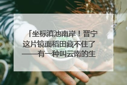 坐标滇池南岸！晋宁这片镜面稻田藏不住了——有一种叫云南的生活之365天