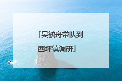 吴毓舟带队到西坪镇调研