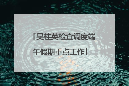 吴桂英检查调度端午假期重点工作