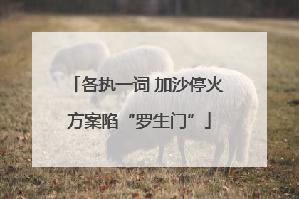 各执一词 加沙停火方案陷“罗生门”
