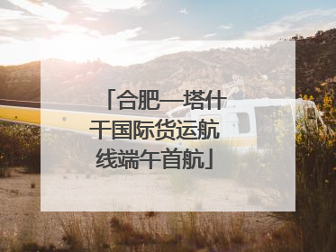 合肥—塔什干国际货运航线端午首航