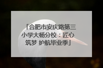 合肥市安庆路第三小学大杨分校：匠心筑梦 护航毕业季