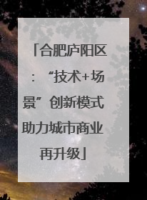 合肥庐阳区：“技术+场景”创新模式助力城市商业再升级