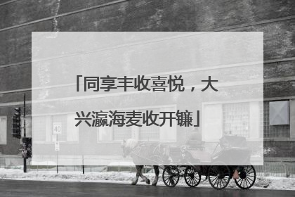同享丰收喜悦，大兴瀛海麦收开镰