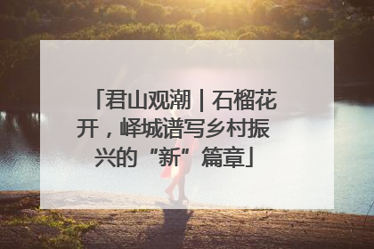 君山观潮｜石榴花开，峄城谱写乡村振兴的“新”篇章