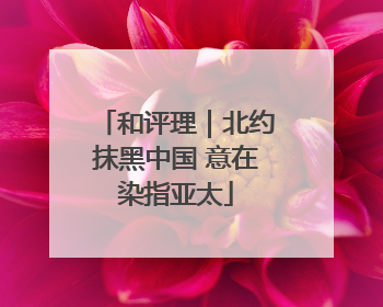 和评理｜北约抹黑中国 意在染指亚太