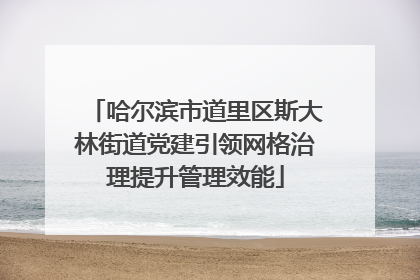 哈尔滨市道里区斯大林街道党建引领网格治理提升管理效能