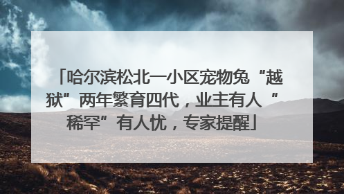 哈尔滨松北一小区宠物兔“越狱”两年繁育四代，业主有人“稀罕”有人忧，专家提醒