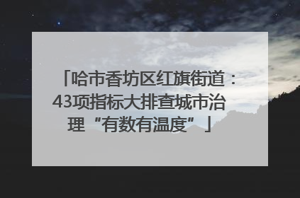 哈市香坊区红旗街道：43项指标大排查城市治理“有数有温度”