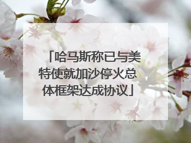 哈马斯称已与美特使就加沙停火总体框架达成协议