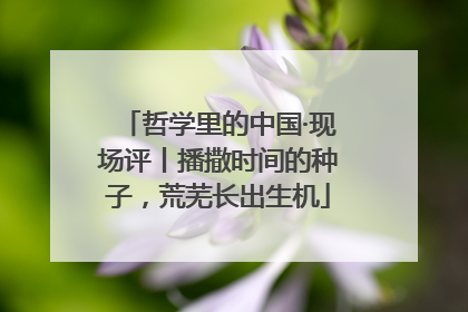 哲学里的中国·现场评丨播撒时间的种子，荒芜长出生机