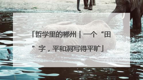 哲学里的郴州｜一个“田”字，平和洞写得平旷