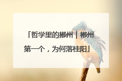 哲学里的郴州｜郴州第一个，为何落桂阳