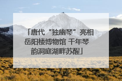 唐代“独幽琴”亮相岳阳楼博物馆 千年琴韵洞庭湖畔苏醒