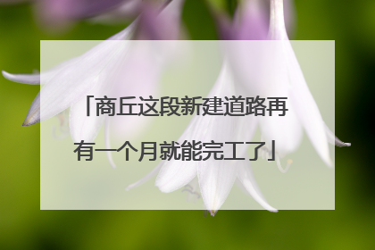 商丘这段新建道路再有一个月就能完工了
